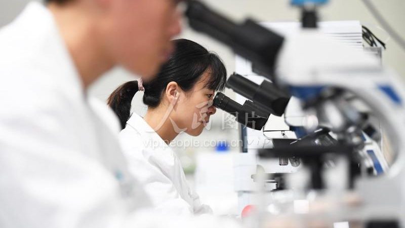CDMO中试放大收费标准：揭秘其背后的考量因素