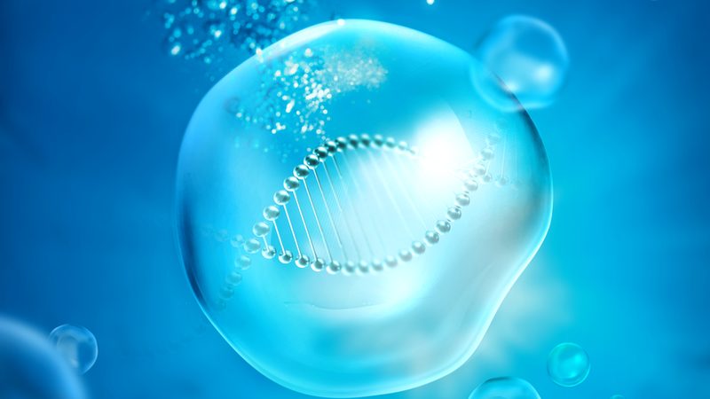 CDMO质量标准：解码生物医药生产的安全与合规