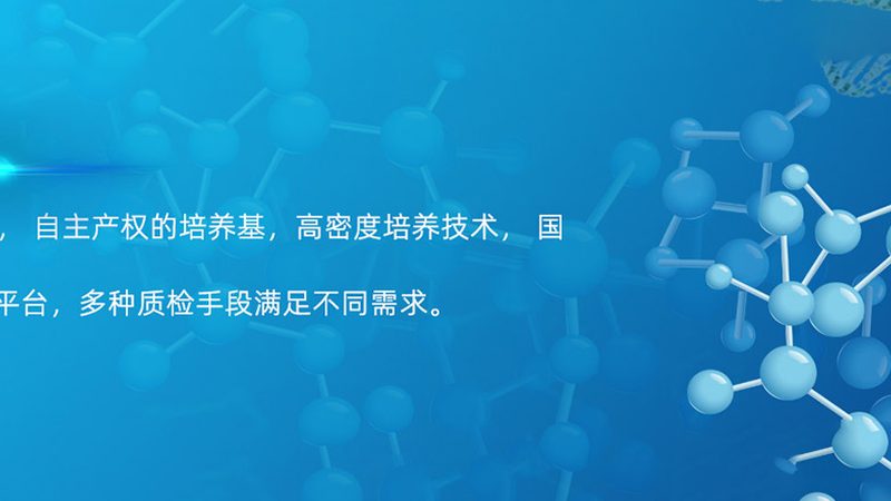 核酸药物CDMO代工费用：揭秘其构成与影响因素