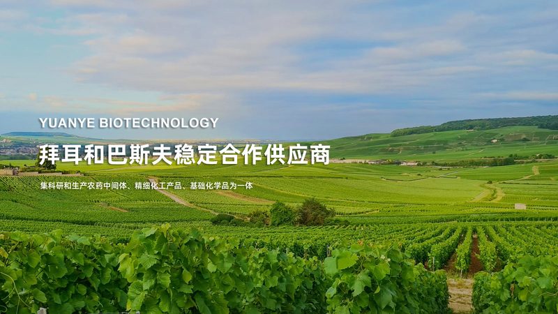 生物医药原料药厂家技术参数：揭秘其背后的关键要素**