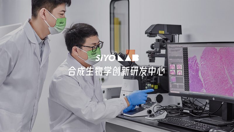 细胞工厂与传统发酵：技术革新背后的抉择