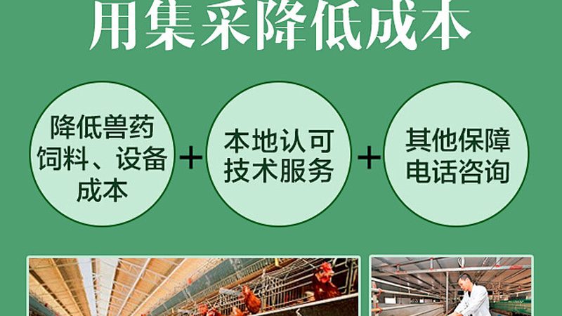 CDMO定制生产代理：揭秘医药研发背后的隐形力量