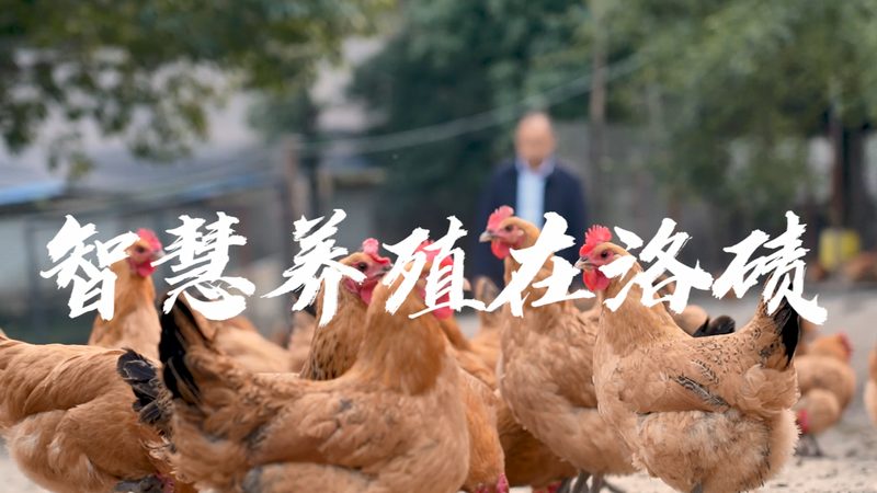 北京PCR核酸检测机构推荐