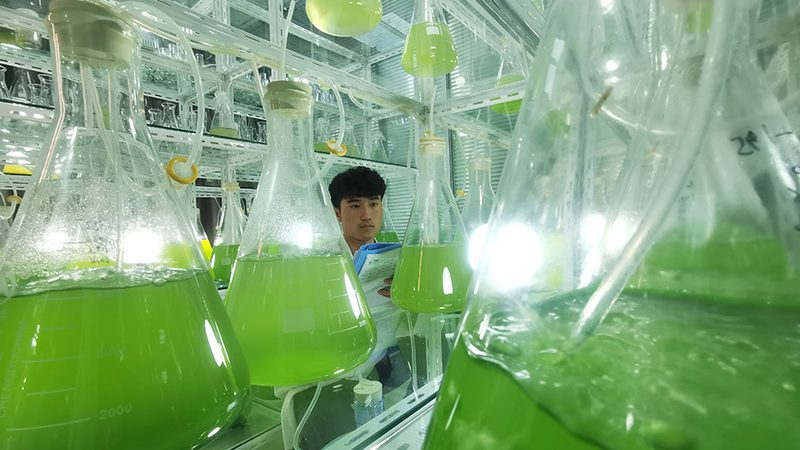 网站CRO优化参数设置：揭秘提升临床试验效率的关键